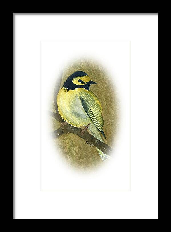 Warblers Framed Print featuring the painting Hooded Warbler by Elise Boam