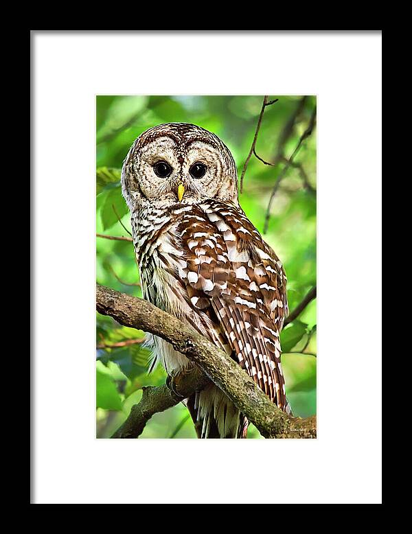 Owl Framed Print featuring the photograph Hoot Owl by Christina Rollo