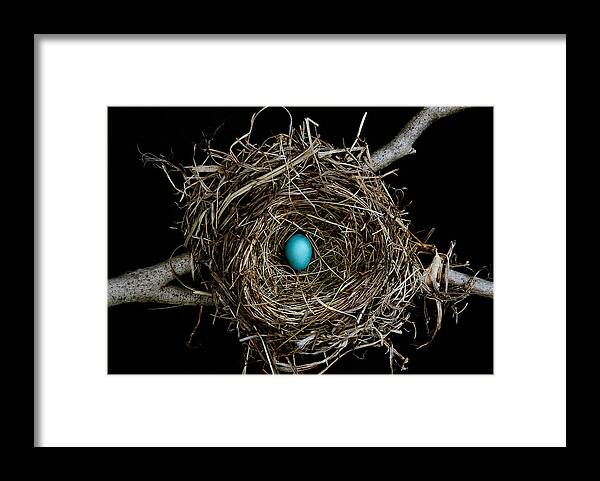 Bird Framed Print featuring the photograph Hope 1 by Mark Fuller