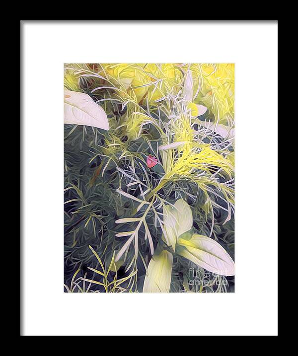 Hope Framed Print featuring the photograph Hope Buds by Jessica Eli