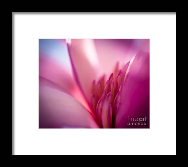 Magnolia Framed Print featuring the photograph Hope by Jan Bickerton