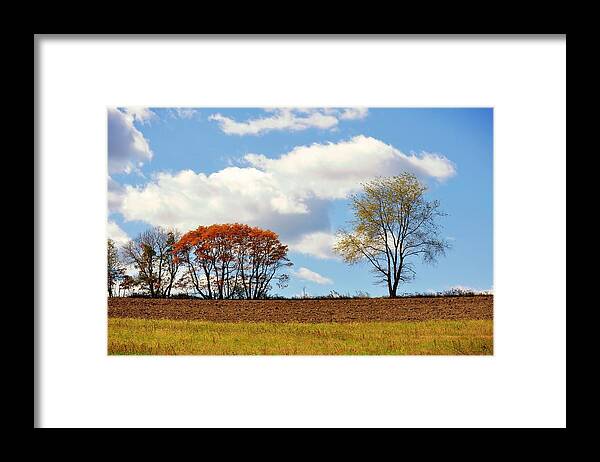 Art Framed Print featuring the photograph Autumn Horizon by JAMART Photography