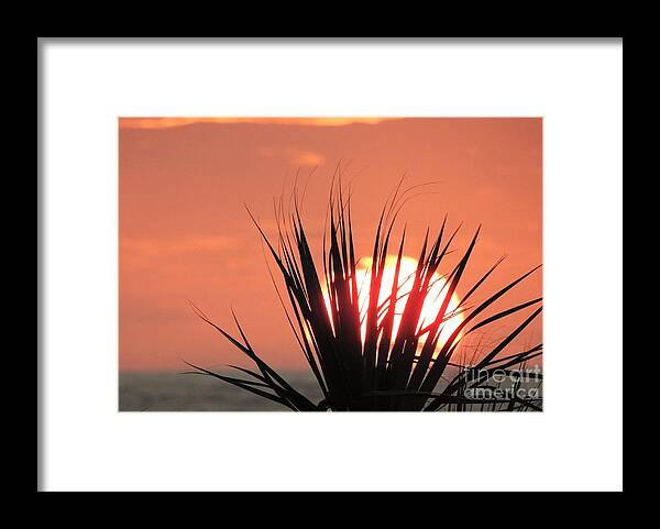 Sun Framed Print featuring the photograph Horizon Sunrise by Jan Gelders