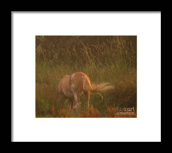 Romantic Framed Print featuring the photograph Horse 4 by Christy Garavetto