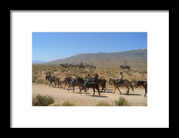 Horses Framed Print featuring the photograph Horse Drive from June Lake to Bishop California by Alexandra Till