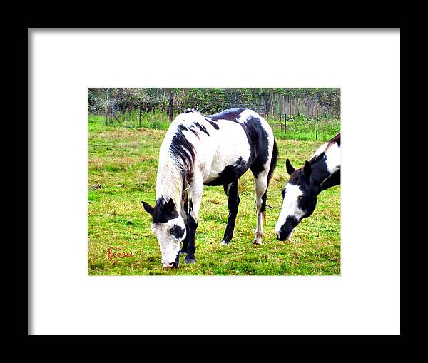 Horses Framed Print featuring the photograph HORSE of a DIFFERENT COLOR by A L Sadie Reneau