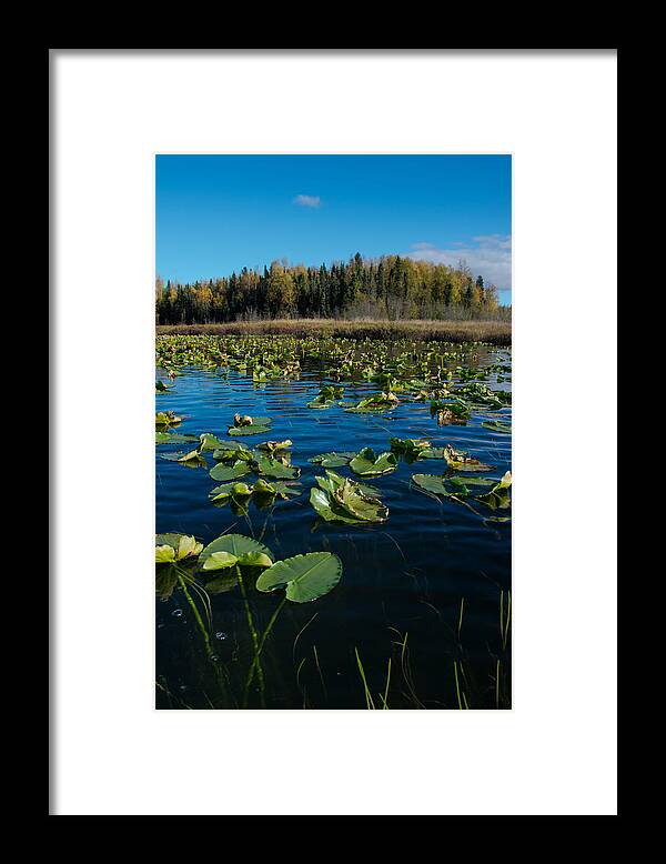 Wasilla Framed Print featuring the photograph Horse Shoe Lake by Melissa Lutes