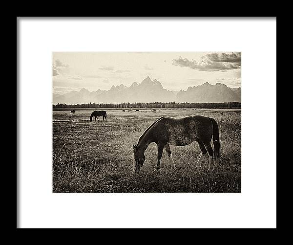 Horse Framed Print featuring the photograph Horses and Tetons by Max Waugh