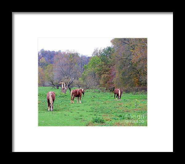 Horses Framed Print featuring the photograph Horses in Autumn Amish Country by Charlene Cox