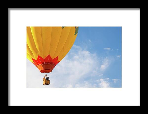 2010 Framed Print featuring the photograph Hot Air Balloon by SR Green