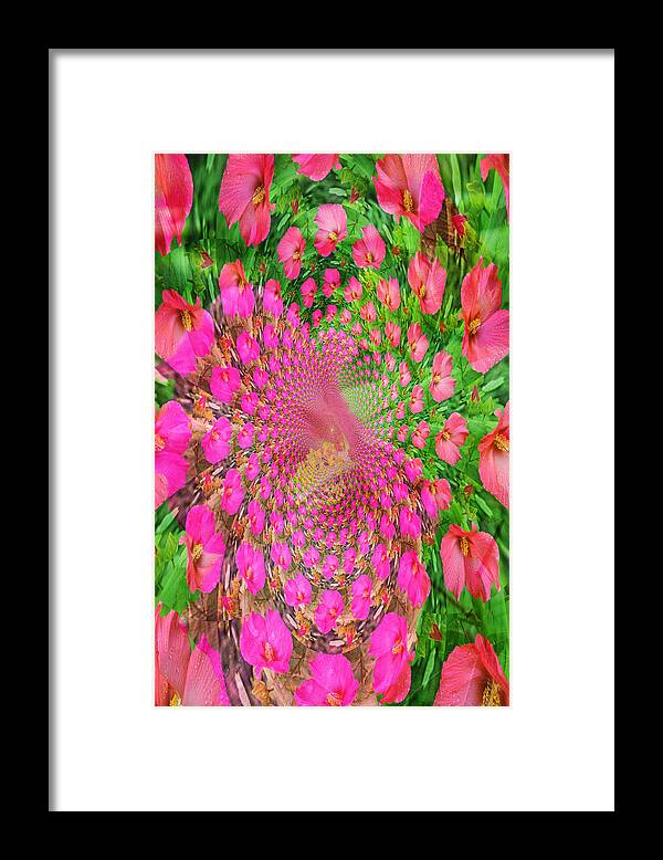 Hibiscus Framed Print featuring the photograph Hothouse Vortex by Rose Hill