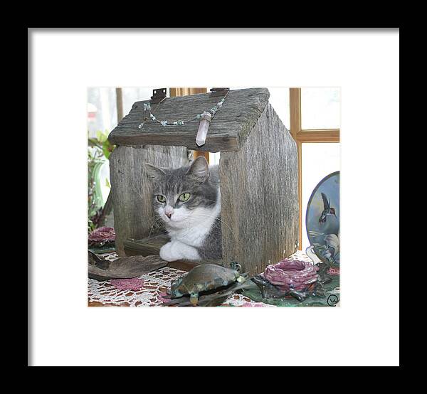 House Cat Framed Print featuring the photograph House Cat by Bjorn Sjogren