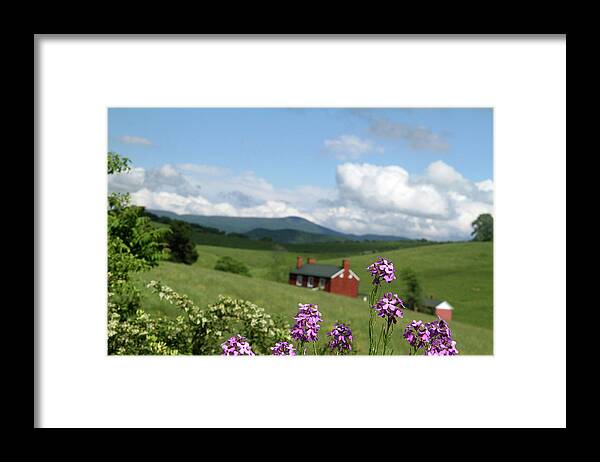 Grass Framed Print featuring the photograph House on hill in Lexington by Emanuel Tanjala