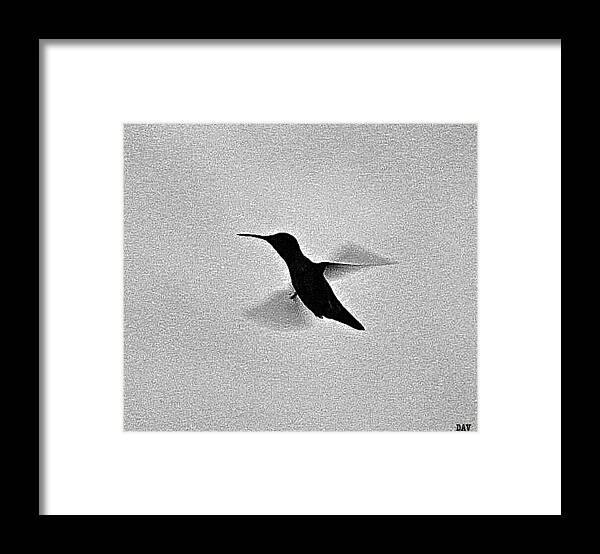 Hover Of The Hummingbird Framed Print featuring the photograph Hover Of The Hummingbird by Debra   Vatalaro