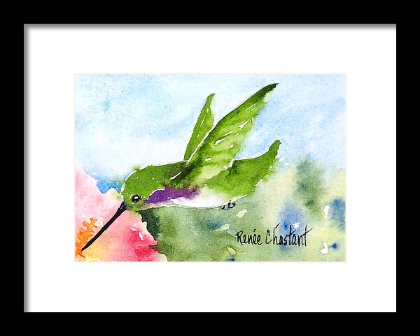 Hummingbird Framed Print featuring the painting Hovering Costa's Hummingbird by Renee Chastant