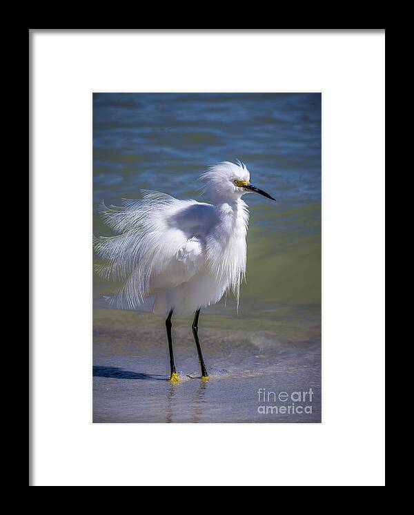 Cove Framed Print featuring the photograph How Do I Look by Marvin Spates