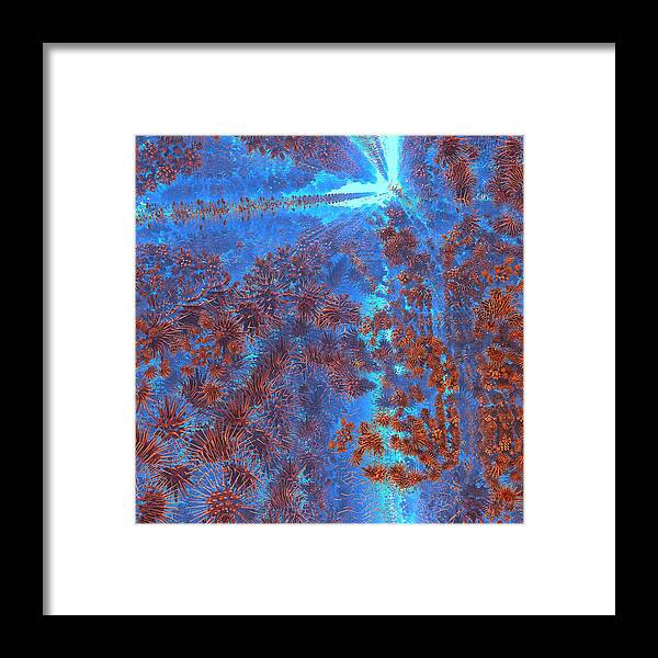 Mandelbulb Framed Print featuring the digital art How Far to the Surface by Lyle Hatch
