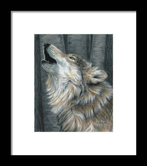 Wolf Framed Print featuring the drawing Howling Wolf by Carla Kurt