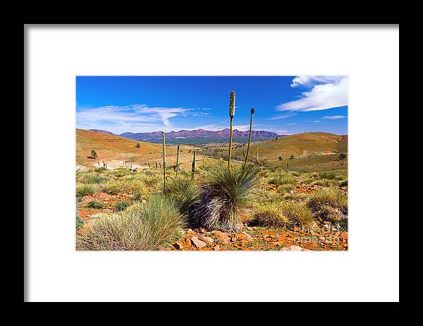 Hucks Lookout Flinders Ranges Wilpena Pound Outback Landscape Landscapes South Australia Australian Framed Print featuring the photograph Hucks Lookout by Bill Robinson
