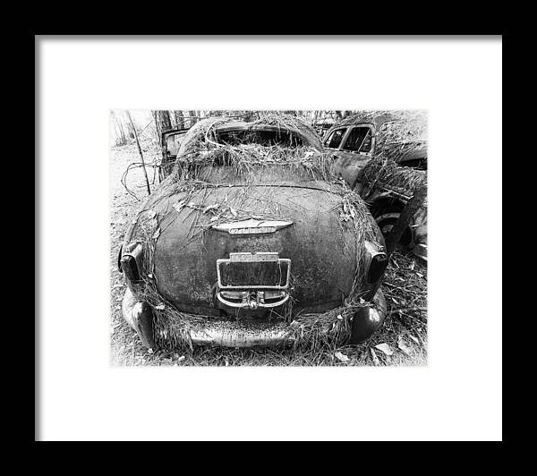 Hudson Framed Print featuring the photograph Hudson in the Pines by Alan Raasch