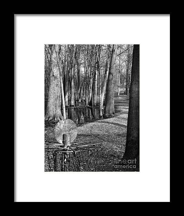 Disc Golf Framed Print featuring the photograph Hudson Mills Disc Golf by Phil Perkins