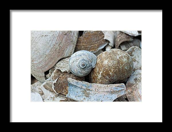 Blue Framed Print featuring the photograph Hues of Blue by Theresa Johnson
