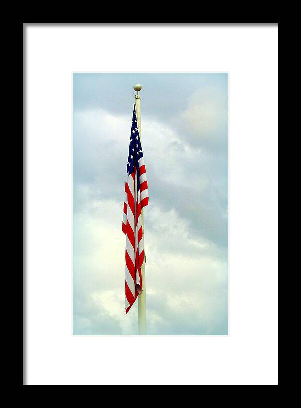 Flag Framed Print featuring the photograph Hug A Veteran by Lori Lafargue