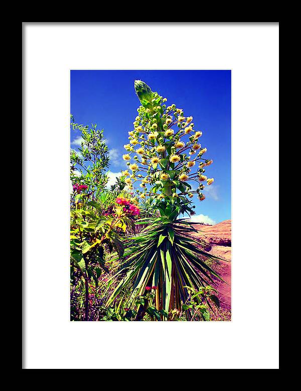  Hawaii Framed Print featuring the photograph Hula Girl by Kevin Smith