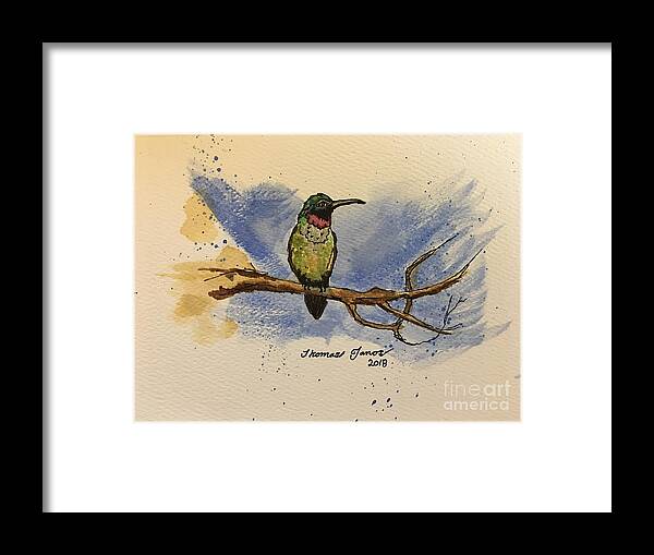 Hummingbird Framed Print featuring the painting Hummingbird at rest by Thomas Janos