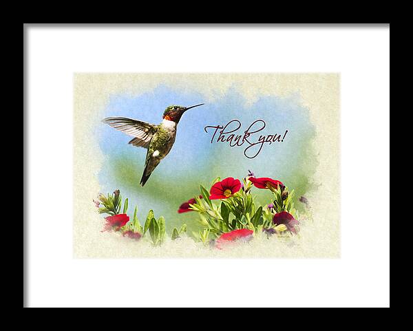 Thank You Framed Print featuring the mixed media Hummingbird Frolic with Flowers Thank You Card by Christina Rollo