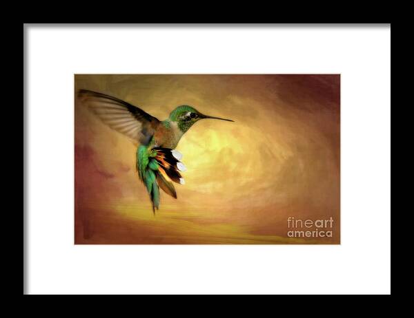 Fine Art Photography Framed Print featuring the photograph Hummingbird in Flight #2 by John Strong