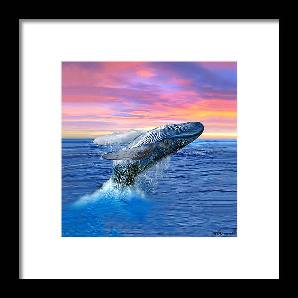 Humpback Whale Framed Print featuring the digital art Humpback Whale Breaching at Sunset by Glenn Holbrook