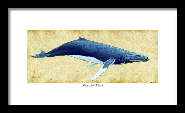 Humpback Framed Print featuring the photograph Humpback Whale painting - framed by Weston Westmoreland