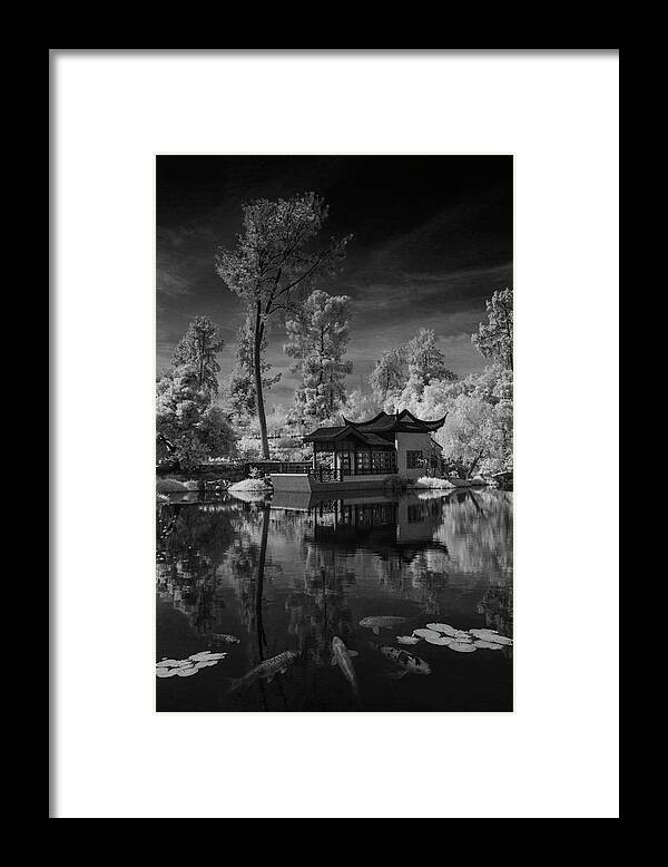 Garden Framed Print featuring the photograph Huntington Chinese Botanical Garden in California with Koi Fish in Black and White Infrared by Randall Nyhof