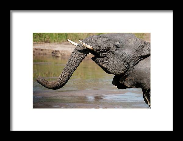 Africa Framed Print featuring the photograph I Feel Happy by Mary Lee Dereske