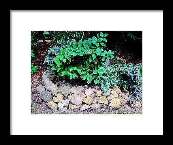 Solomon Seal Framed Print featuring the photograph I Heart Gardening by Allen Nice-Webb