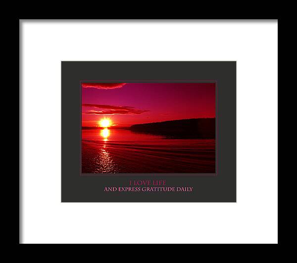 Motivational Framed Print featuring the photograph I Love Life And Express Gratitude Daily by Donna Corless