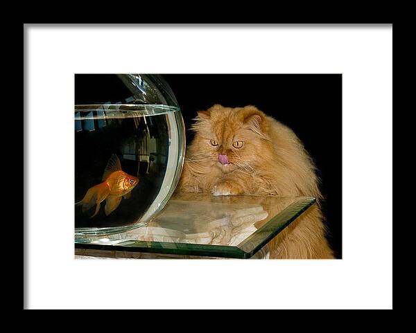 Cat Framed Print featuring the photograph I love sushi by Thanh Thuy Nguyen