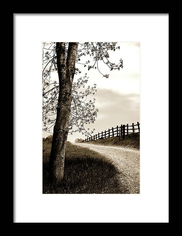 Walk Framed Print featuring the photograph I Walk the Gravel Road 2 by Marilyn Hunt