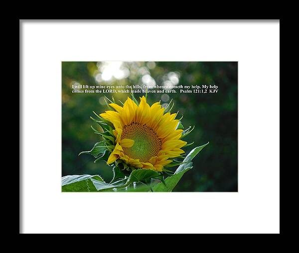 Scripture Framed Print featuring the photograph I Will Lift Up Mine Eyes by Diannah Lynch