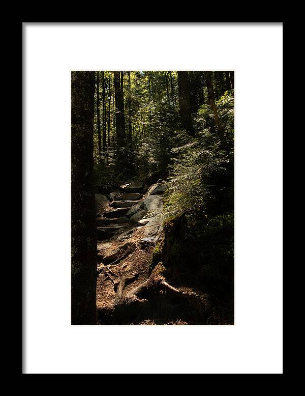 Maine Framed Print featuring the photograph I Will Light Your Way by Holly Ross