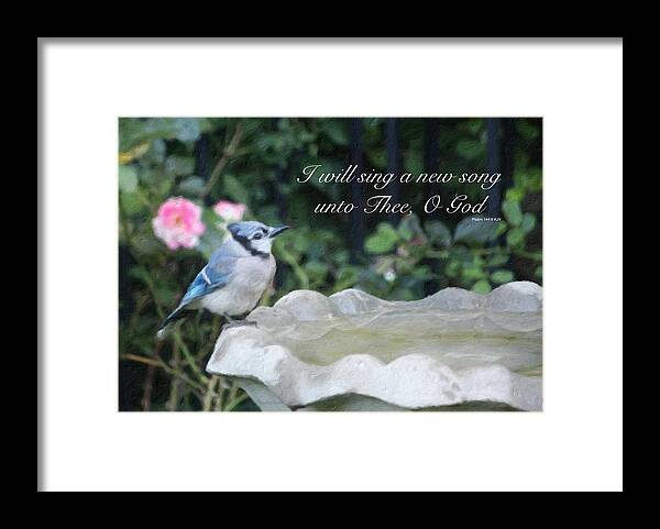 Bird Blue Jay Fowl Birdbath Water Flowers Rose Pink Psalm Bible Scripture God Faith Father Almighty Savior Sing Christian Christ Jesus Midwest Digital Painting Framed Print featuring the photograph I Will Sing a New Song by Diane Lindon Coy