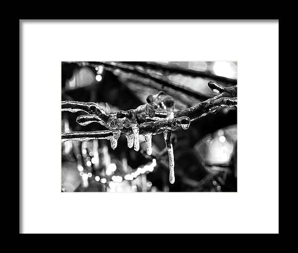 Icicles Framed Print featuring the digital art Ice, Ice Baby by Kathleen Illes