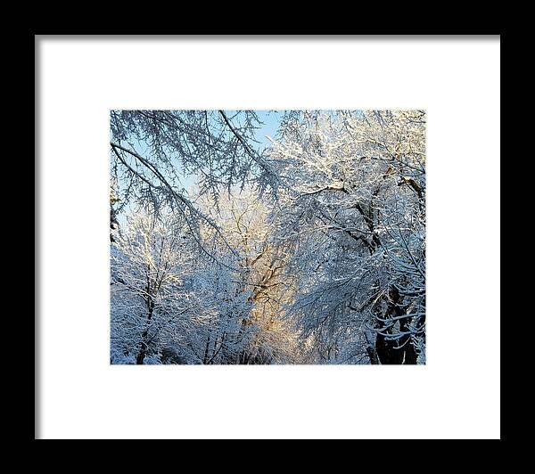 Ice On Trees Framed Print featuring the photograph Ice Storm on the 6th III by Jacqueline Russell