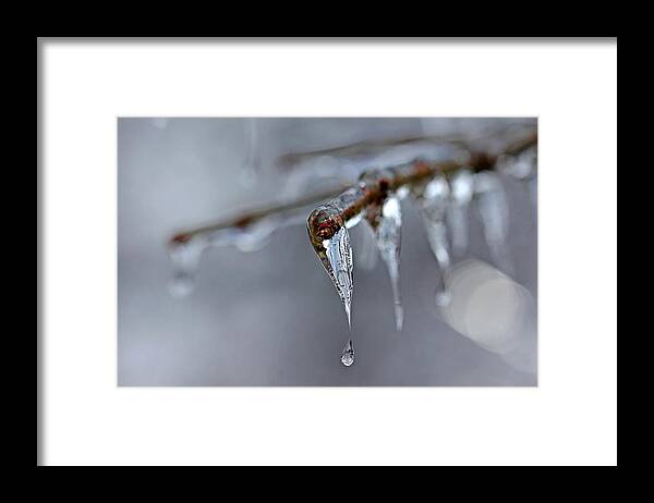 Icicle Framed Print featuring the photograph Icicle Teardrop by Debbie Oppermann