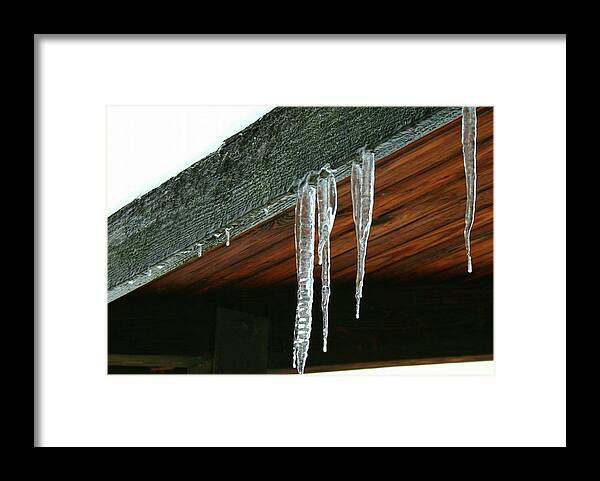  Framed Print featuring the photograph Icicles by Brad Nellis