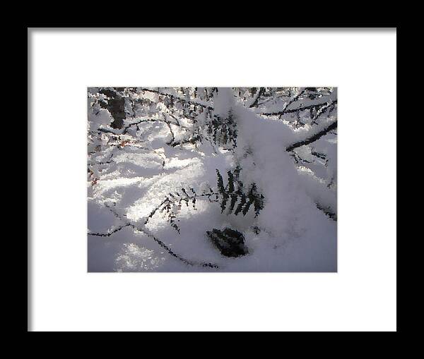 Winter Framed Print featuring the photograph Icy Fern by Nicole Angell