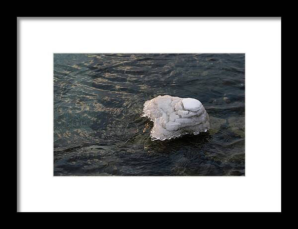 Icy Island Framed Print featuring the photograph Icy Island - Drifting Solo on Silky Grays by Georgia Mizuleva