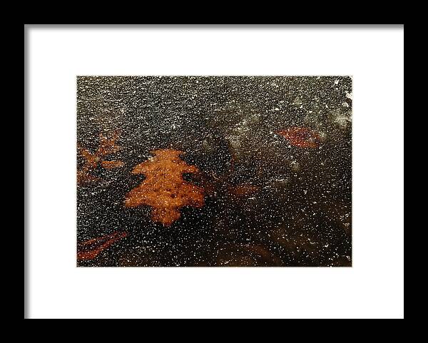 Leaf Framed Print featuring the photograph Icy Leaf by Michael McGowan