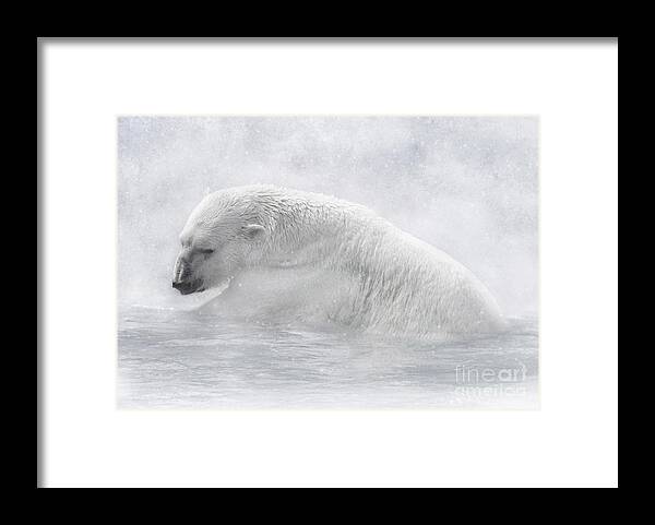 Polar Bear Framed Print featuring the digital art Icy Waters by Lynn Jackson